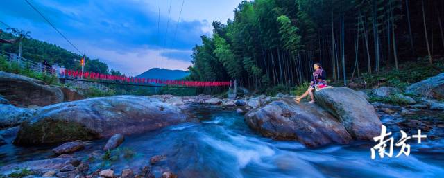 新八竹海。