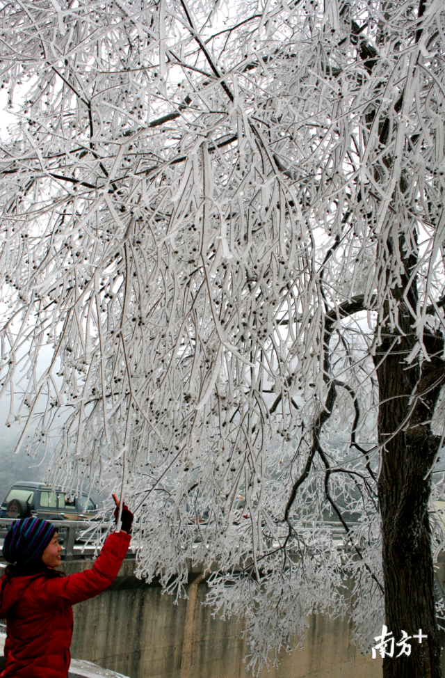 今冬的首場寒潮將于12月29日下午襲擊連州，最冷零下5度，提醒群眾做好御寒準備。黃津 攝
