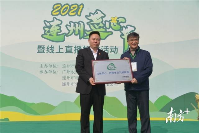 連州菜心獲評“嶺南生態(tài)氣候優(yōu)品”，廣東省氣象局一級巡視員、省氣象學(xué)會理事長梁建茵為連州菜心授牌。張曉欣 攝